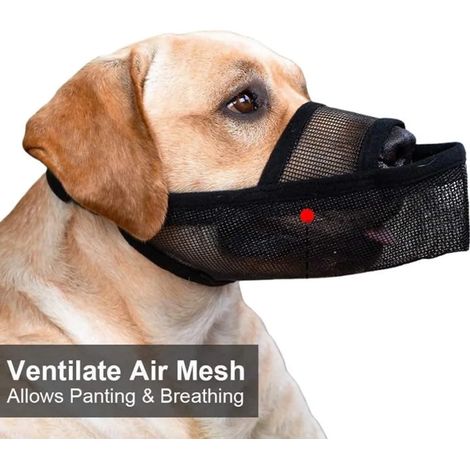 Muselière respirante en maille INF pour chien - Protection contre les morsures et le léchage, museau court (1/3)