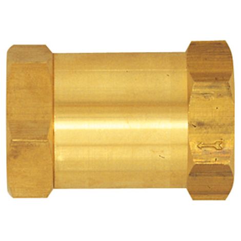 Riegler Rückschlagventil, Durchgangsform, MS, G 1/4 IG, 0,2 - 0,4 bar (1/2)