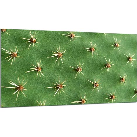 PLAQUE DE PROTECTION EN VERRE POUR CUISINIÈRE 90x52 CACTUS (1/5)