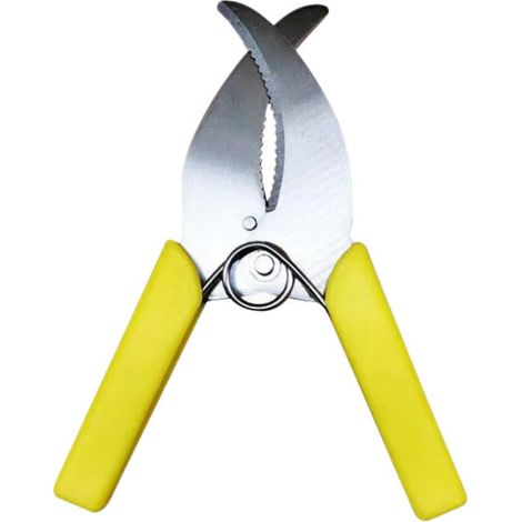 Outil de Greffage et Taille Professionnel pour Arbres Fruitiers et Jardin Sécateur Coupe Écorce Compatible Verger Durable (1/5)