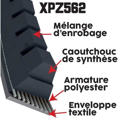 Courroie tondeuse XPZ562 Trapézoïdale Crantée - 9,7 mm x 562 mm (1/5)