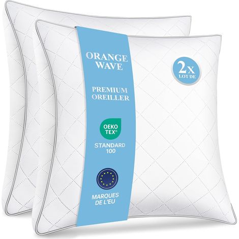 Oreillers 60x60 Lot de 2 Oreiller Moelleux Coussins (1/5)