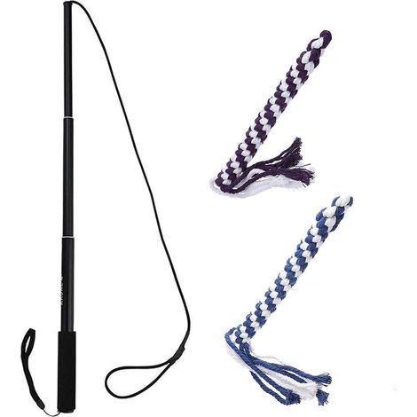 Bâton Télescopique d'exercice pour Chien,Jeu Interactive De Tirage pour (1/5)