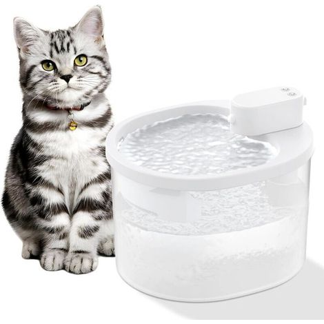 Intelligenter, kabelloser Induktions-Wasserspender für Katzen. Automatischer Wasserspender für Haustiere. Kabelloser Infrarot-Wasserspender mit Wasserzirkulation.