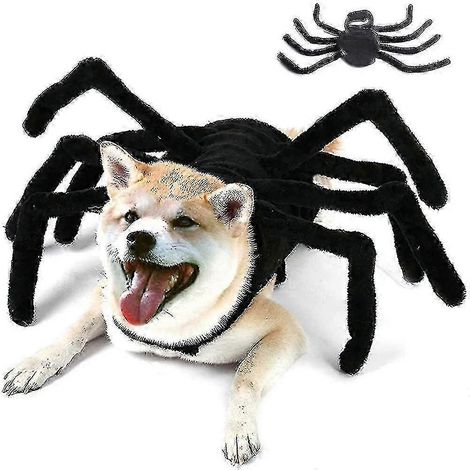 Costume d'araignée réaliste en peluche ajustable pour chien ou chat, idéal pour Halloween. (1/5)