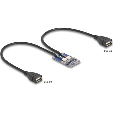 Delock Adaptador Mini PCIe tamaÃ±o completo a 2 x USB 2.0 Tipo-A hembra 30 cm