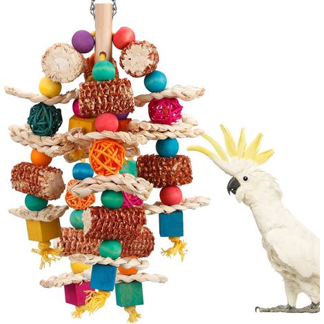 Jouet à mâcher pour perroquets en bois et épis de maïs naturels, jouet suspendu à picorer, accessoire de cage adapté aux petits et moyens perroquets, aras, cacatoès, perroquets gris du Gabon, amazones (1/5)