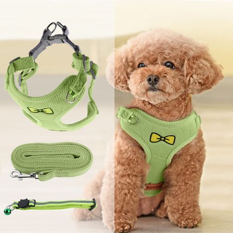 Harnais pour Chien Petite Taille Step-in Réfléchissant Respirant, Anti Traction avec Laisse - Pour Chihuahua et Petits Chiens (1/5)
