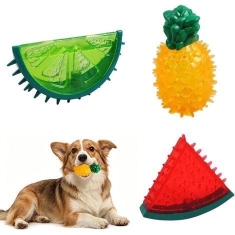Jouets dentition chiot lot3 - Fruits congélables pastèque ananas citron (1/5)