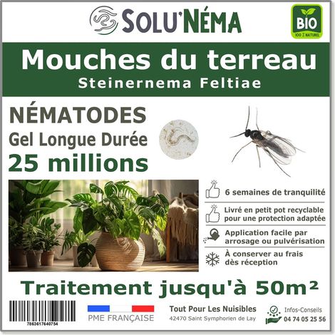 Nématodes SF contre la Mouche du Terreau - 25 millions Steinernema Feltiae - Traitement pour 50 m²