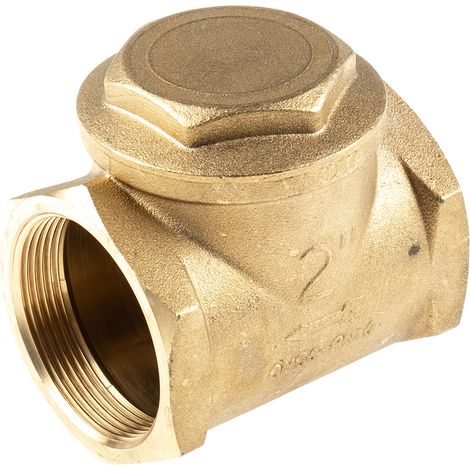 Clapet antiretour en Laiton RS PRO BSPP 2" ( Prix pour 1 )