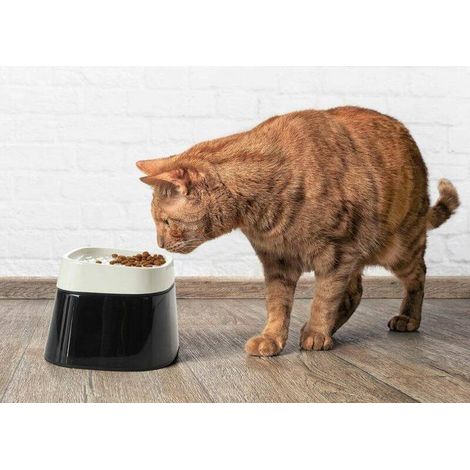 Savic Erhöhte Futterschüssel creme und schwarz für ältere Katzen