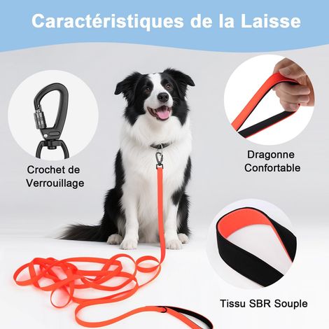 Laisse de dressage pour chien longue et résistante - Sangle imperméable et antidérapante pour promenade, entraînement et rappel, disponible en plusieurs longueurs