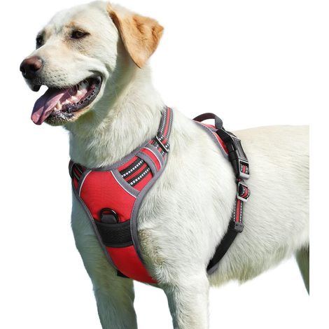 Filiyano-Harnais anti-traction pour chien wxsp, harnais pour grands chiens, harnais réglable avec bande réfléchissante, rembourré, doux et respirant (1/5)