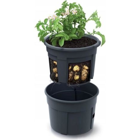 Filiyano-Pot - IZIE - Cultivateur de pommes de terre - 28 L - Diamètre 392 mm - Hauteur 316 mm Noir (1/2)