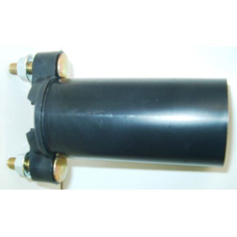 Ricambio cilindro nylon con sfera per pompa irrorazione a spalla in plastica - Salone (1/4)