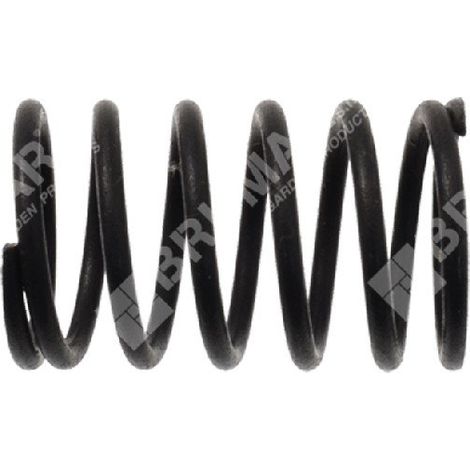 Molla valvole per motori DAYE - DAYEE Compatibile - 023560