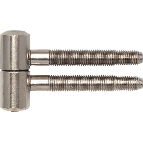 SOLIDO Türband ø 16 mm, Friktion Holzzarge, Stahl vernickelt (1/3)