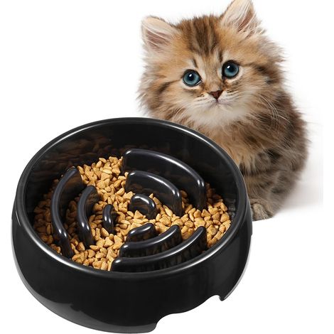 Gamelle anti-glouton pour chien avec design interactif (1/5)
