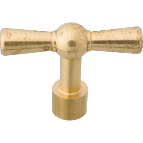Watts – Clé plate unique pour tête de couvercle d'entrée – Fente 4 mm – Compatible avec systèmes de verrouillage – Utilisation professionnelle
