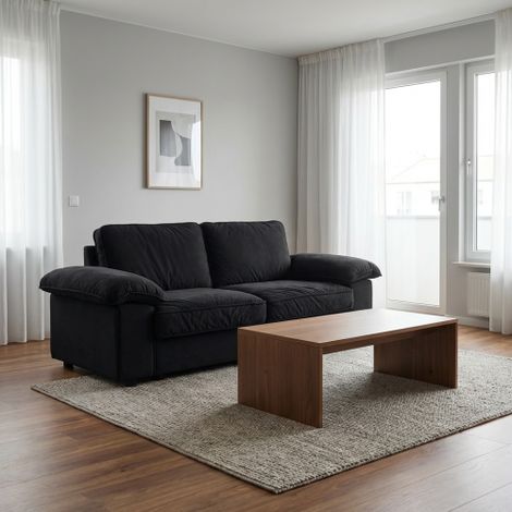 Canapé contemporain 120 cm avec rangement, tissu pelucheux, cadre en bois massif, confortable pour 2-3 personnes - Noir (1/5)
