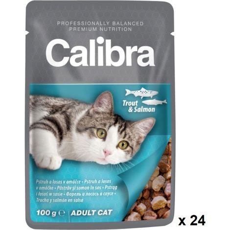 Calibra Cat Cash per adulti Trota Salmon 24x100gr Box