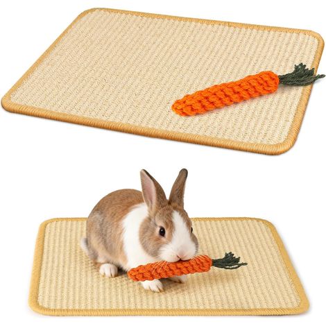 Sisal Scratching Mat + Carrot Toy for Rabbit (1/5)
