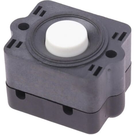 Interrupteur de contrôle de pression pour pompes à diaphragme série FL réglable 17 80 psi compatible avec FL30 FL31 FL32 FL34 FL35 FL40 FL43 (1/5)