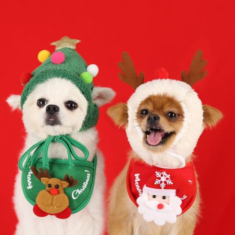 Weihnachtsmütze, Schal, Lätzchen, Weihnachtskostüm für Hunde und Katzen – Haustierbedarf für Weihnachts- und Geburtstagsfeiern (1/5)