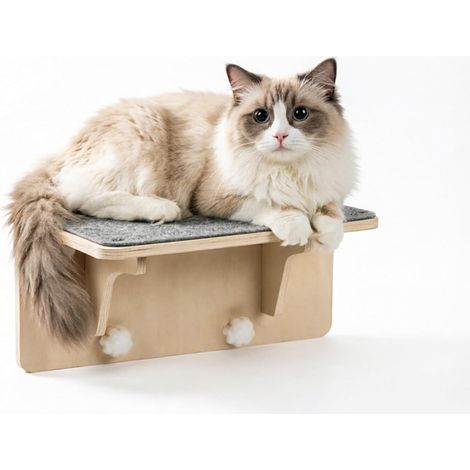 Mur d'escalade pour chat 2 en 1 pour mur et fenêtre – Chaise longue murale avec ventouses puissantes, coussin en feutre amovible et lavable, surface de couchage stable pour grands chats, accessoires (1/5)