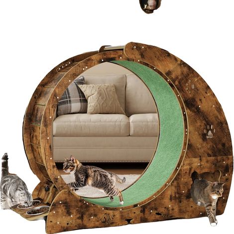 Katze Trainingsrad, Multifunktionales Design, Leiser Betrieb, 03 (1/2)