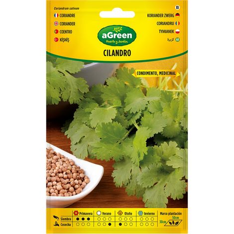 Graines De Coriandre Agreen Aromate Frais Et Graines épicées - Agreen (1/2)