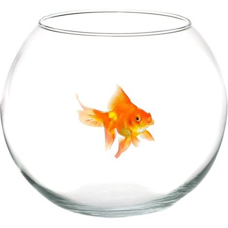 Bocal à Poissons En Verre De 20 Cm Aquarium Poisson Rouge Centre De Table
