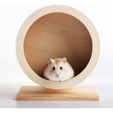 Roue d'exercice pour petits animaux (hamsters syriens, gerbilles, rats, souris, chinchillas nains) avec amortisseur et pivotement, idéale pour le repos et l'exercice (S Φ/15cm). Couleur naturelle. (1/5)