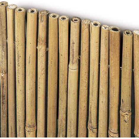 ARELLA IN CANNETTE DI BAMBU RECINZIONE OSCURANTE COPERTURA PERGOLA 1x3 MT 781vn