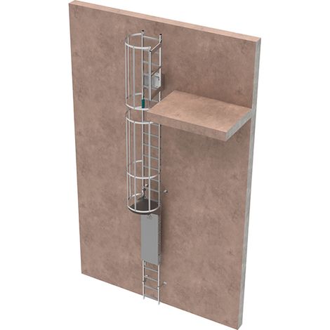 Echelle à crinoline avec porte - Hauteur à franchir de 3,18 à 4,02m - CRINO-SL/002-7872