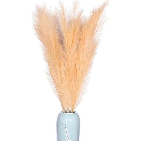 BelleRise - Herbe de la pampa naturelle séchée pour décoration intérieure, mariages et soirées bohèmes, gris (1/4)