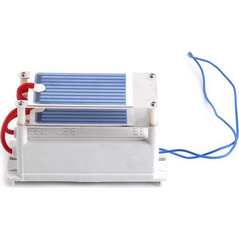 Generatore di ozono, generatore di ozono portatile a basso consumo energetico 7 g/h 110V/220V generatore di ozono con doppia piastra in ceramica sterilizzazione dell'aria (AC220V) (1/5)