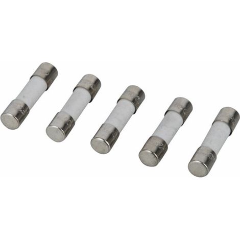 Frisquet – Lot de 5 fusibles 3,15A 250V – Remplacement pour chaudières – Protection électrique fiable – Conforme aux normes CE - F3AA41212 (1/3)