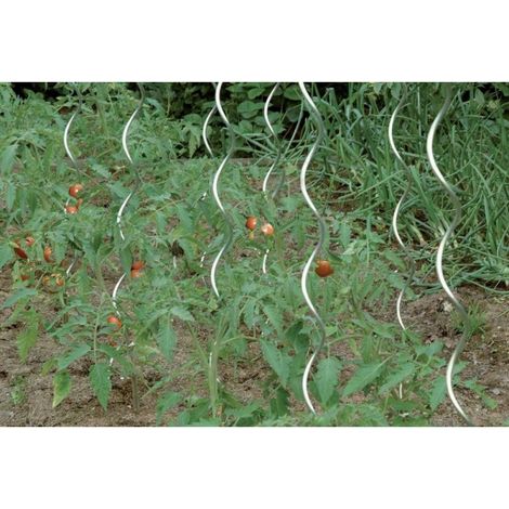 Palo Pomodoro 180 Cm Galvanizzato Circumpro (A 10) (1/2)