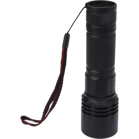 SV50 20W 365nm wiederaufladbare Schwarzlicht-Taschenlampe zur Erkennung von gefälschten Dokumenten, Bernsteinschmuck und Haustierurinflecken (1/5)