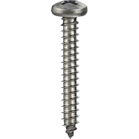 Viti autofilettanti testa cilindrica Inox 4,8 x 32 - 6 pz. (1/2)