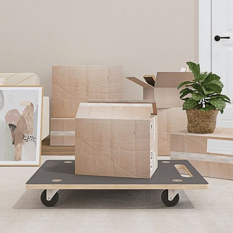 Chariots de transport, 2 unités, rectangulaires, 80 x 55 x 11,5 cm, 250 kg