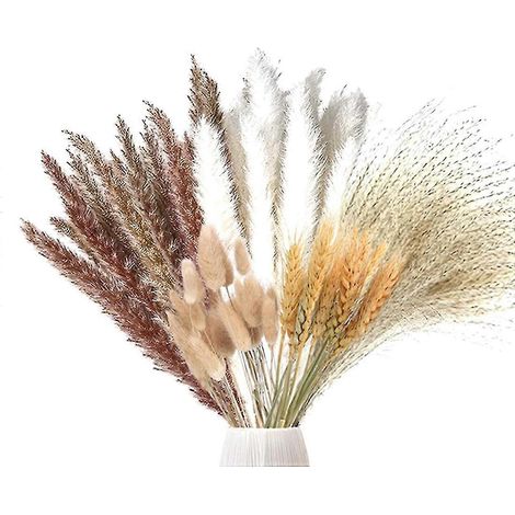 70 pièces d'herbe de pampa séchée, décoration d'herbe de pampa séchée naturelle, fleurs séchées, plante (1/5)