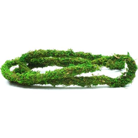 BioBranch Grüne Moosliane mit Moos 200x2cm zur Gestaltung von Terrarien