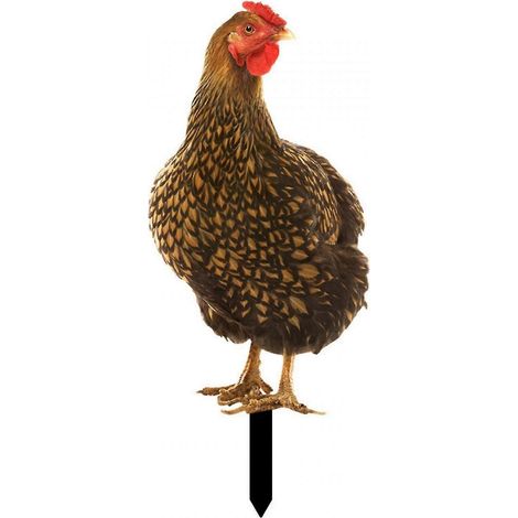 Décoration de jardin réaliste en acrylique représentant une poule, idéale pour une ferme.-Style B