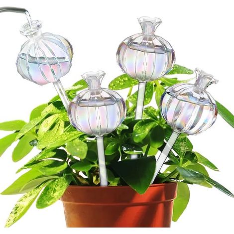 longziming - Boules à eau transparentes pour plantes – Boules à eau auto-arrosantes pour plantes d'intérieur – Système d'arrosage pour cactus et plantes d'intérieur (1/5)