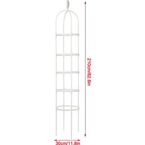 Support fixe pour rosiers grimpants, tuteur pour plantes d'intérieur (1/5)