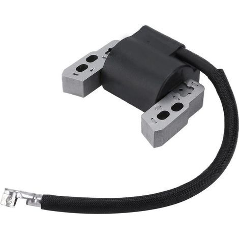 Module de bobine d'allumage moteur en métal 802574 796964 universel pour Briggs et Stratton (1/5)