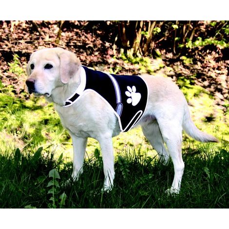 FLASH SICHERHEITSW. USB FÜR HUNDE 36 58CM,SCHW.
